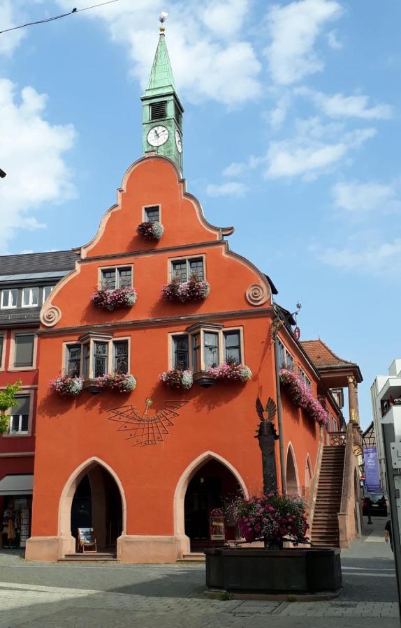 Apartment Woelfle Friesenheim (Baden-Wurttemberg)